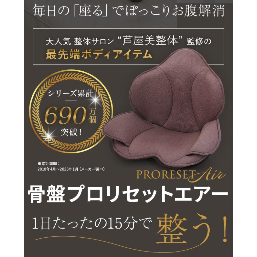芦屋美整体 骨盤プロリセットエアー マッサージチェア 座椅子 エア