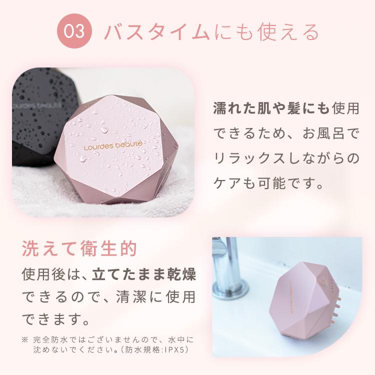 ルルド EMSリフトブラシ AX-NBL506 アテックス EMS 美顔器 ブラシ