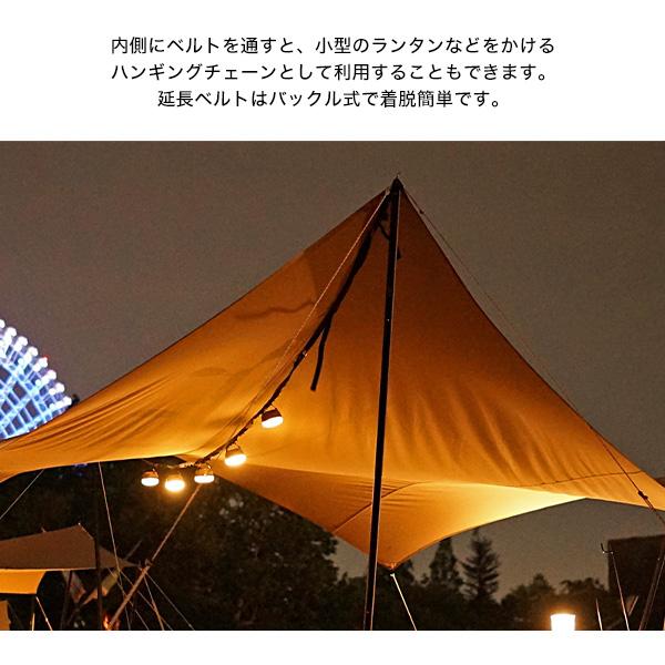 DOD（ディオーオーディー） タープ いつかのタープ TT5-631-TN dod