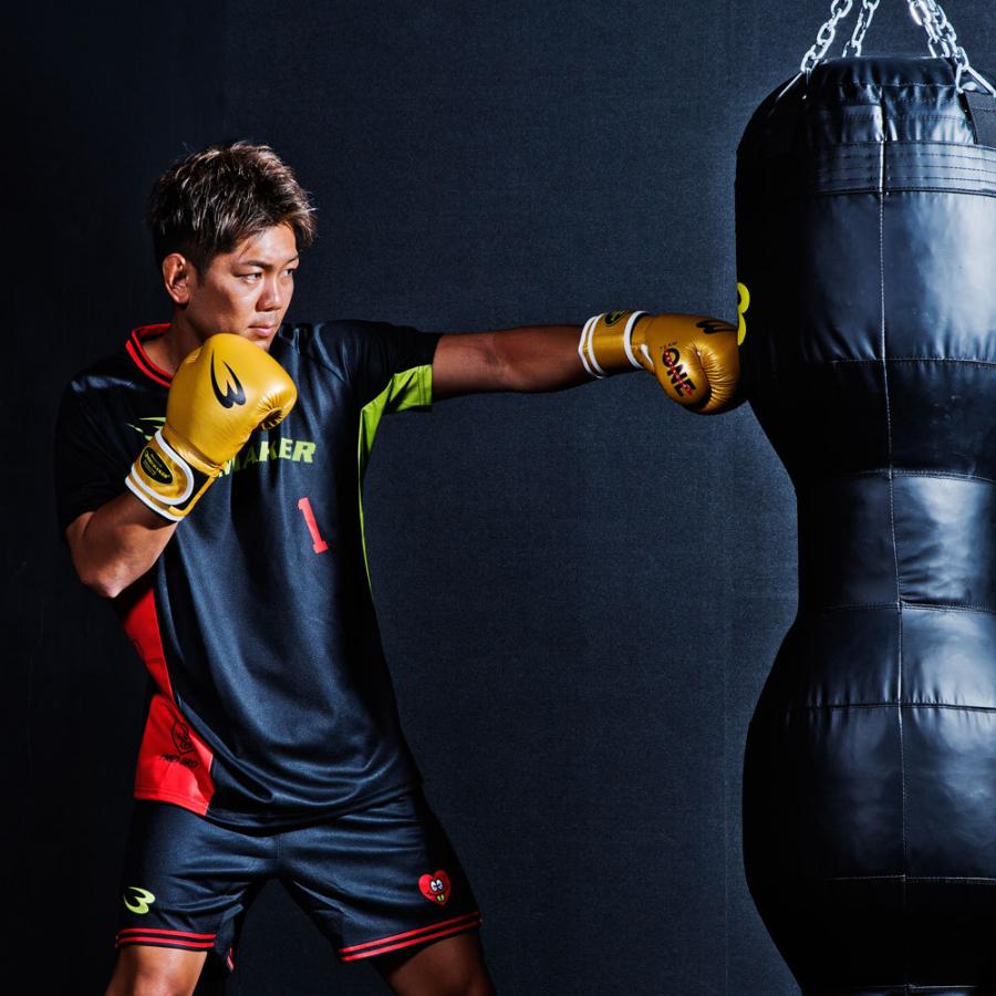 BODYMAKER（ボディメーカー） アッパー&ロー サンドバッグ アッパー