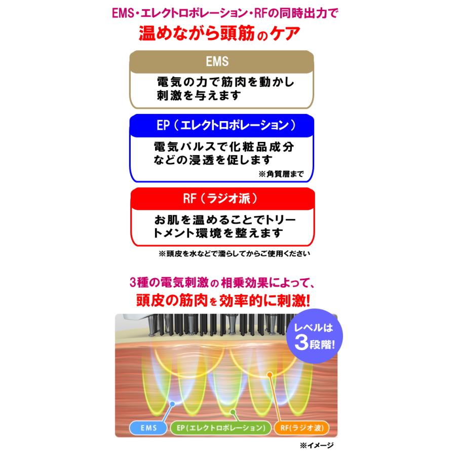 アデランス 電気リフトブラシ DoRAISE ドゥライズ EMS美顔器 5つの美容