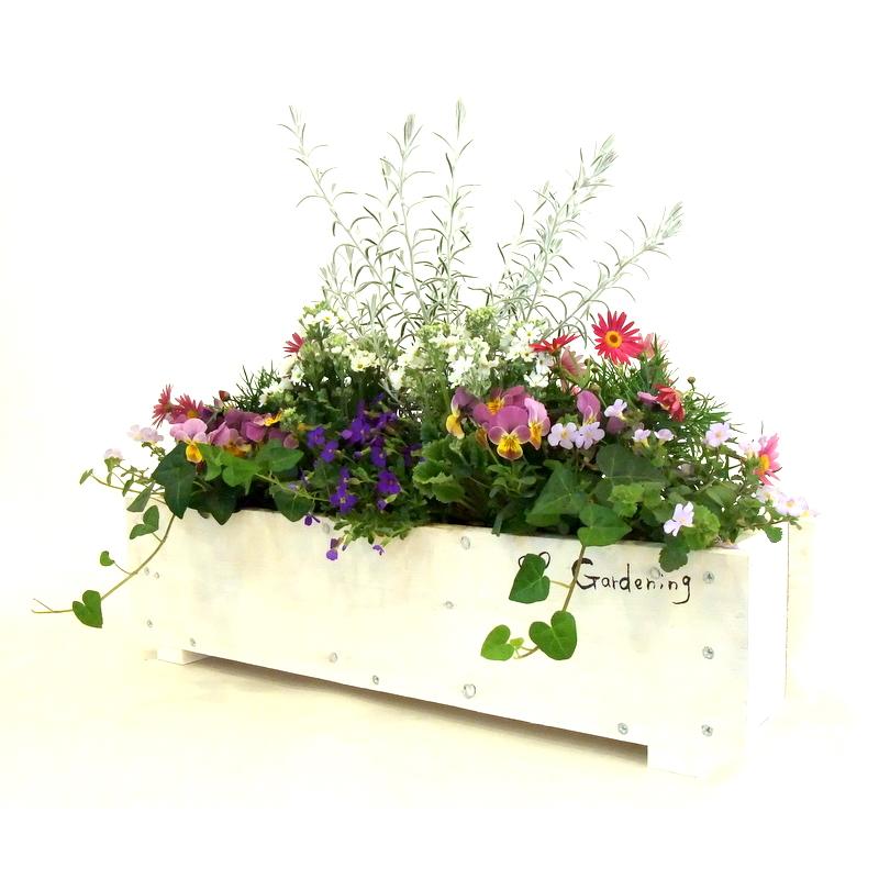 寄せ植え 春の寄せ植え 春の寄植え 春の花 プレゼント 花ギフト 開店