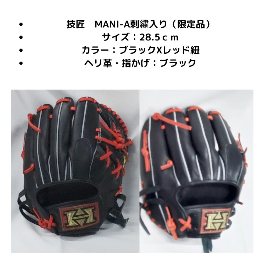 HI-GOLD（ハイゴールド） 軟式グラブ 内野用 限定品 ブラック/レッド