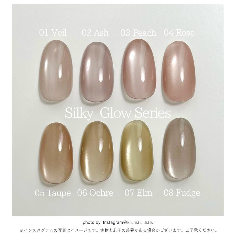 NAILTOWN（ネイルタウン） [ネコポス送料無料]超微粒 マグネットネイル