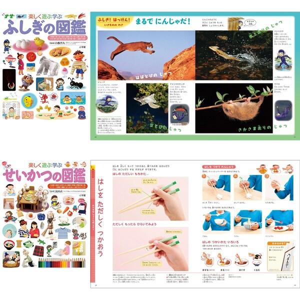 小学館 図鑑NEO プレNEO 11冊セット 不思議 世界 日本 世の中 工夫