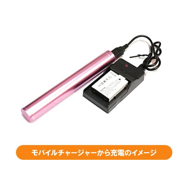 DC17 IXY DIGITAL 200a 300a 320 400 450 30a等対応USB充電器 : didica
