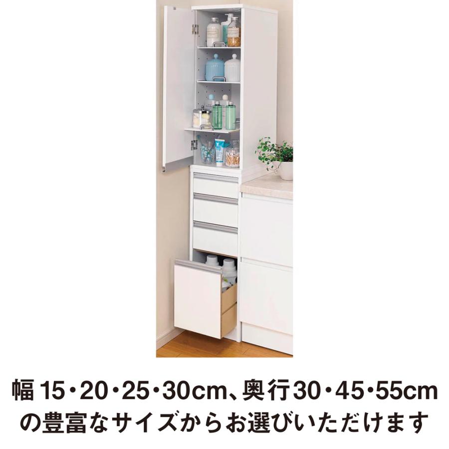 dinos（ディノス） サイズが豊富な光沢すき間収納庫 幅15cm・奥行45cm