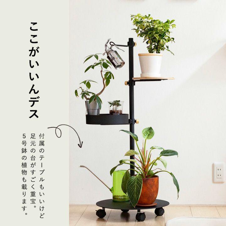 DRAW A LINE ドローアライン つっぱり棒 おしゃれ 伸縮 インテリア