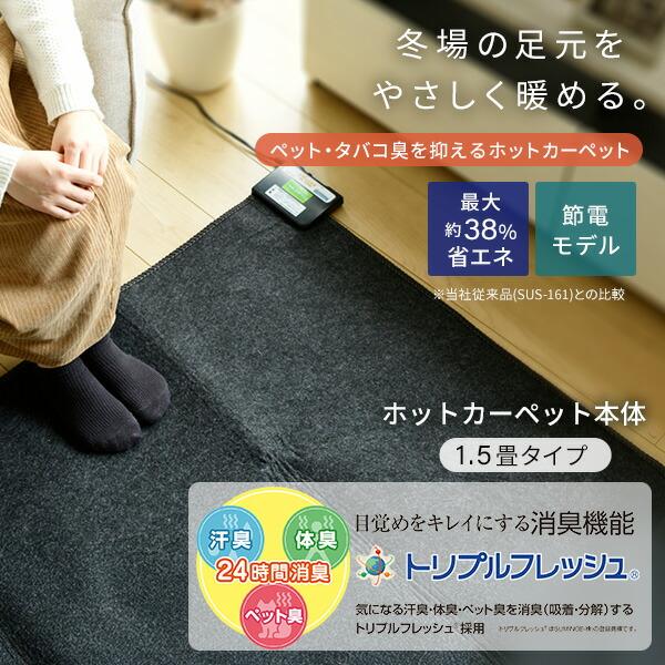 ホットカーペット 2畳 空気をキレイにする 本体 小さく折りたためる