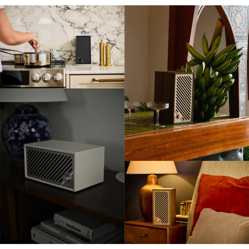 Tivoli Audio（チボリ・オーディオ） Model Two Digital Bluetooth