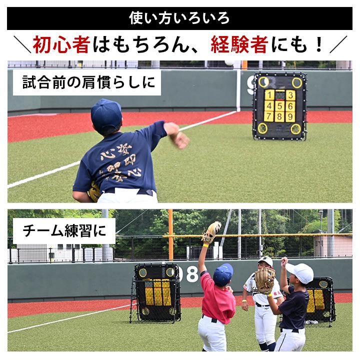 LEADING EDGE（リーディングエッジ） 送料無料 野球 練習 ネット