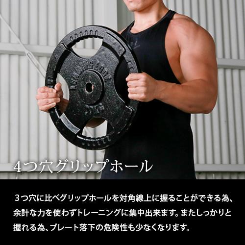 LEADING EDGE（リーディングエッジ） ヘビープレート 20kg 28mm径