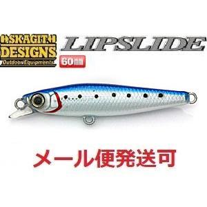 SKAGIT DESIGNS（スカジットデザインズ） リップスライド 60mm 13g