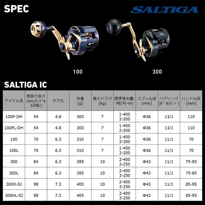 DAIWA（ダイワ） 21 ソルティガ IC 300H-SJ (右ハンドル) 2021年モデル