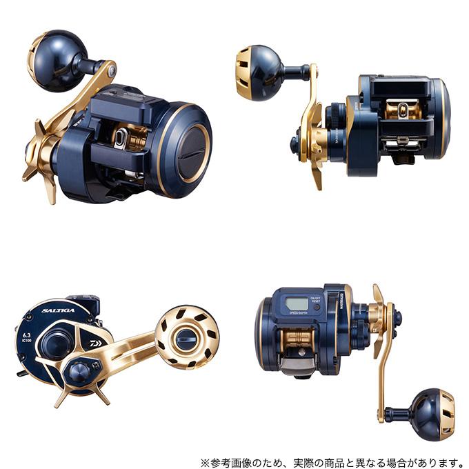 DAIWA（ダイワ） 21 ソルティガ IC 300H-SJ (右ハンドル) 2021年モデル