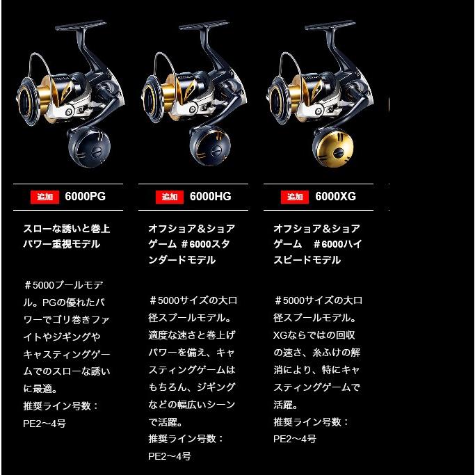 シマノ（SHIMANO） 20 ステラSW 6000HG (2020年追加モデル) スピニング