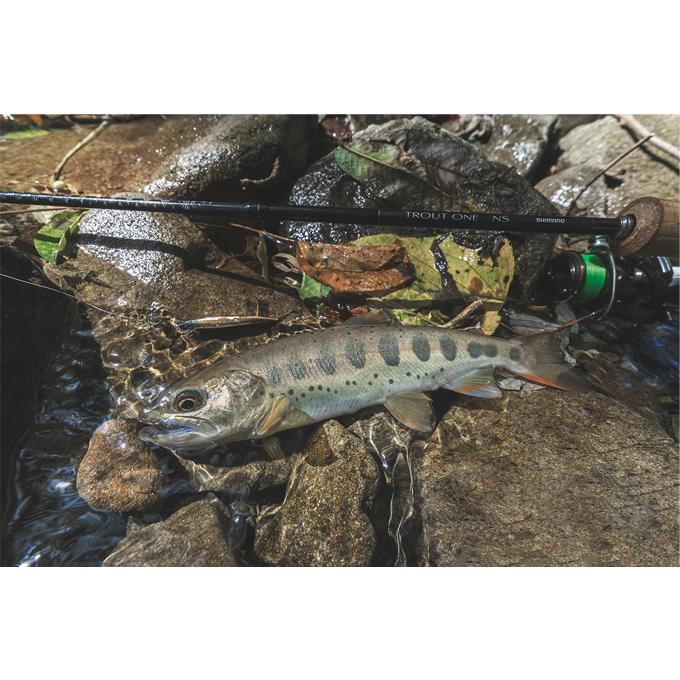 シマノ（SHIMANO） (5) 24 トラウトワン NS S48UL-G/4 (トラウトロッド