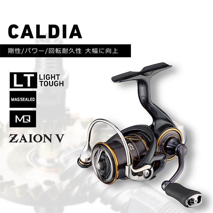 DAIWA（ダイワ） 【目玉商品】ダイワ 21 カルディア LT3000-CXH (2021