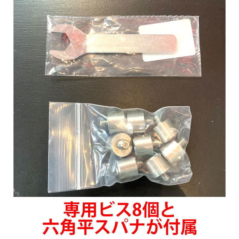 OJK PLATE HARD オージェーケー プレート CP-02 ハード アルペン用