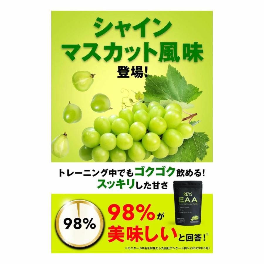 REYS レイズ EAA eaa サプリメント 必須アミノ酸 9種配合 600g 栄養