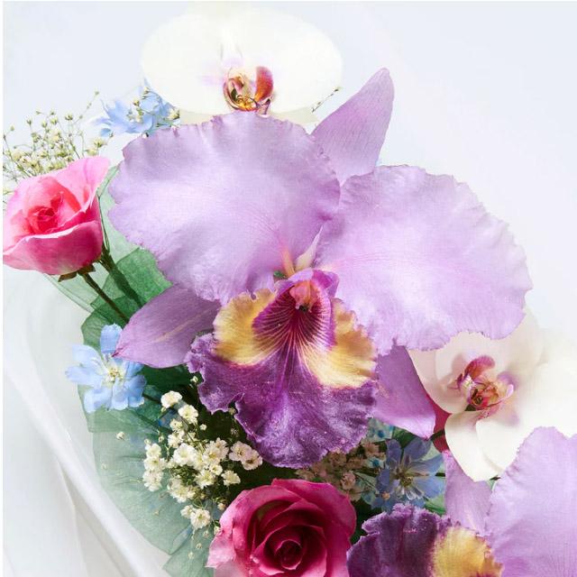 レンデフロール カトレア 胡蝶蘭 バラ デルフィニューム かすみ草