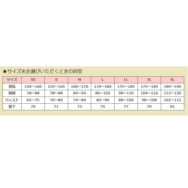 サンライン（SUNLINE） ステータス・ディアプレックスオールウェザー