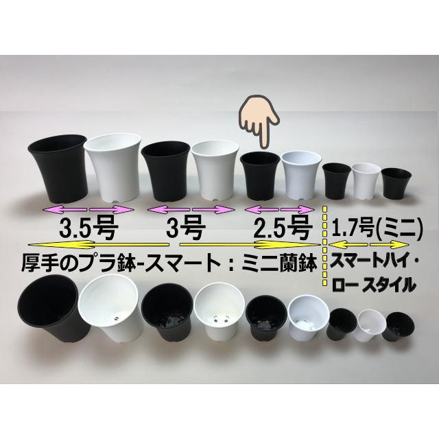 NEIGHBORHOOD SRL プラ鉢 ネイバーフッド プレステラ90等セット