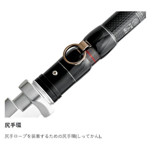 Gamakatsu（がまかつ） がまくえ ドーラ 70-480 4.8m ( 2025年 9月新