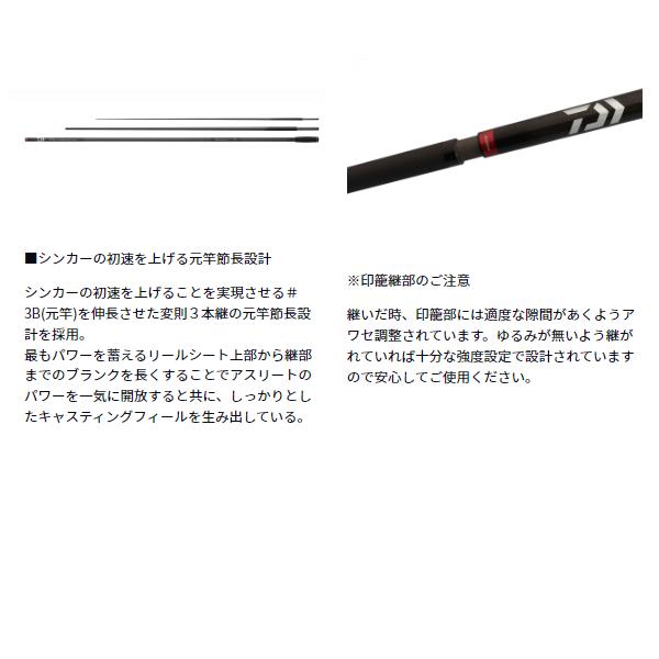 DAIWA（ダイワ） サンダウナー CP 31-405 (2025年 新製品) : 釣具