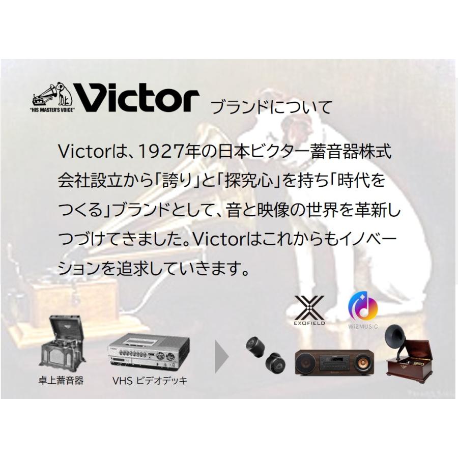 WOOD CONE Victor JVCケンウッド 一体型 ウッドコーン EX-D6 ｜ 高音質