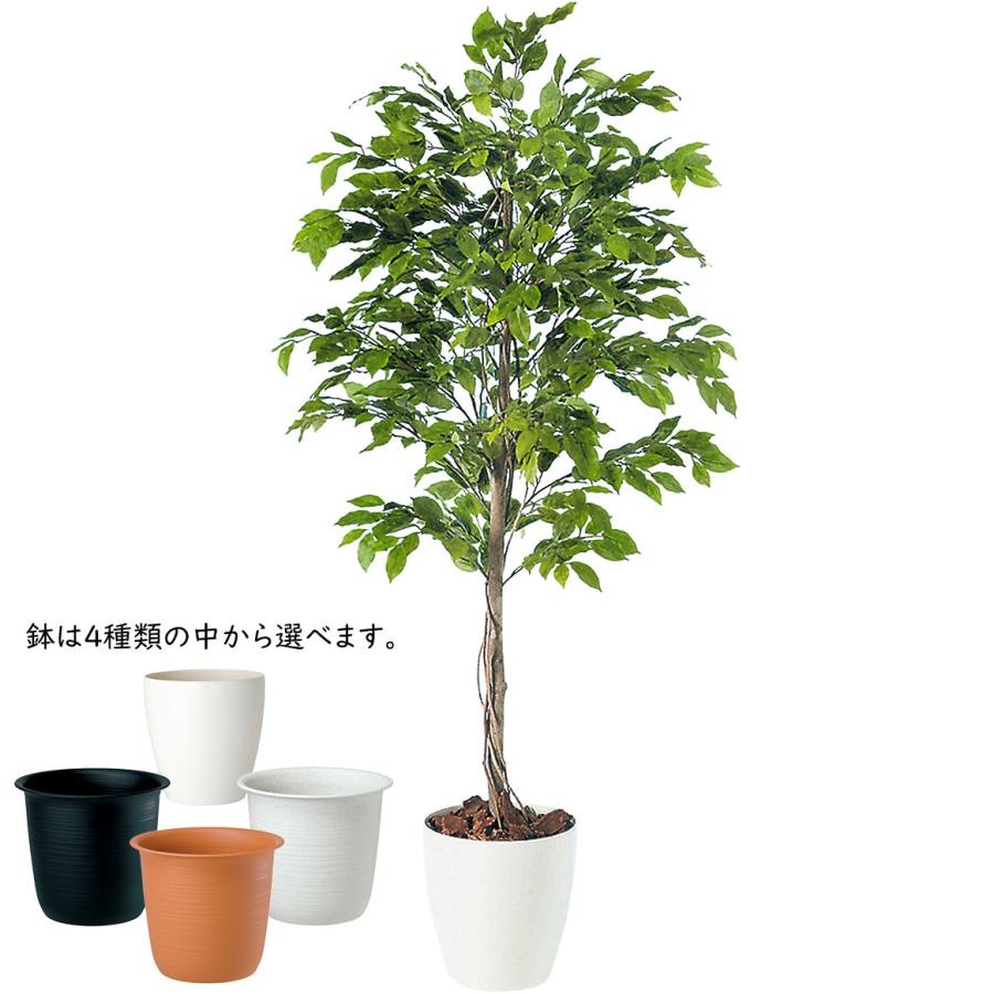 ベンジャミン 大型 人気 おしゃれ フェイクグリーン 観葉植物
