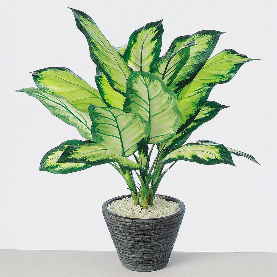 ディフェンバキア インテリアグリーン おしゃれ 観葉植物 フェイク