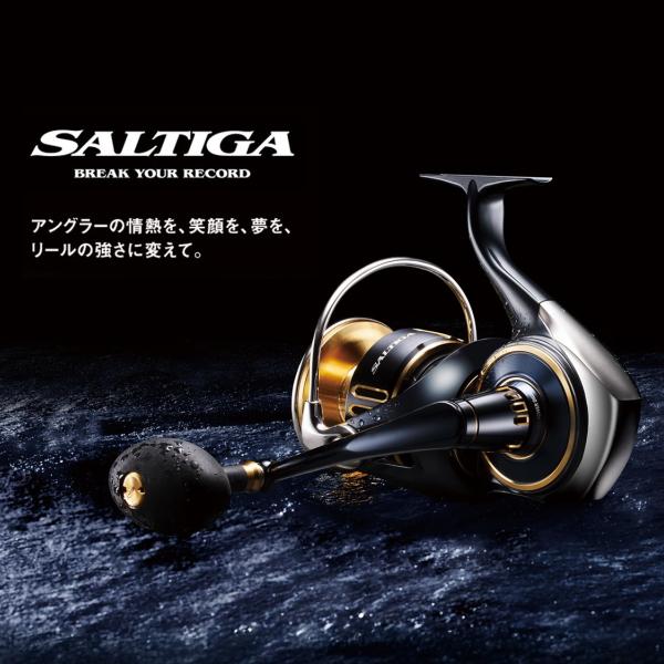 DAIWA（ダイワ） [90] 25 ソルティガ 8000-P (G1) : かめや釣具 - 通販