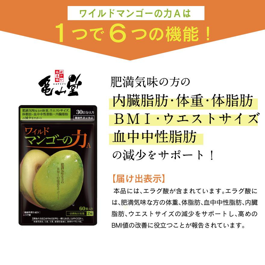亀山堂 ワイルドマンゴーの力 A エラグ酸 機能性表示食品 30日分 60粒