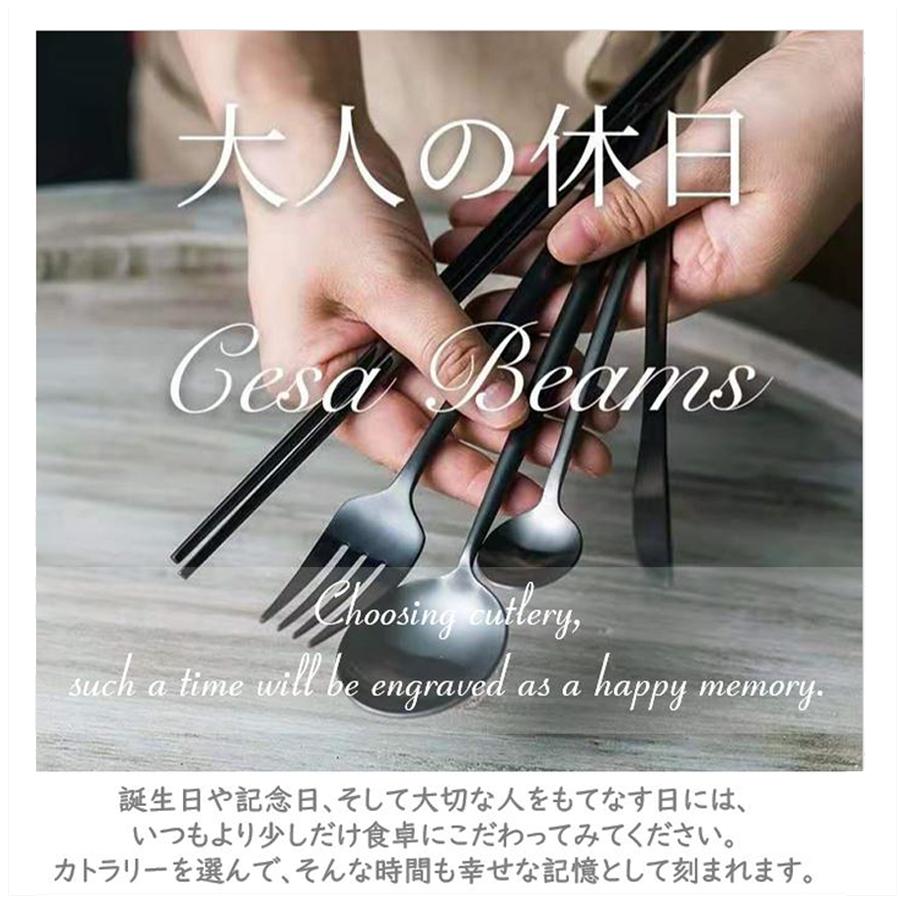 cesaBeams カトラリーセット 6本ギフトボックス付きセット 結婚祝い