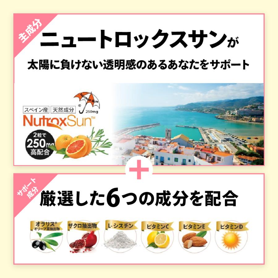 BE-MAX the SUN(ビーマックス ザ・サン) メディキューブ 飲む日焼け