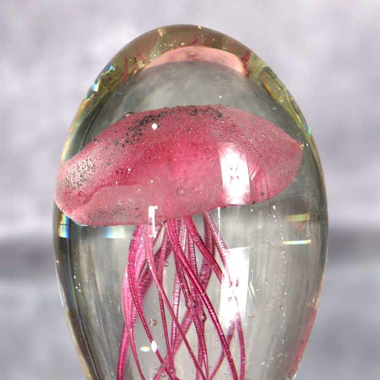 ガラス クラゲ小 ピンク 置物 海月 オーナメント ガラス雑貨 ペーパー