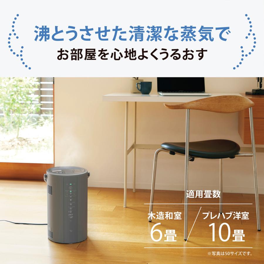 象印（ZOJIRUSHI） 加湿器 スチーム式加湿器 3.0L EE-DF35 グレー