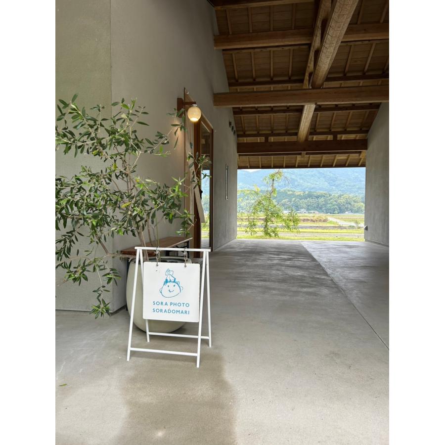 ブラケットライト 屋外 ポーチ 木 和風 led 陶器 玄関 白磁丸 軒下灯