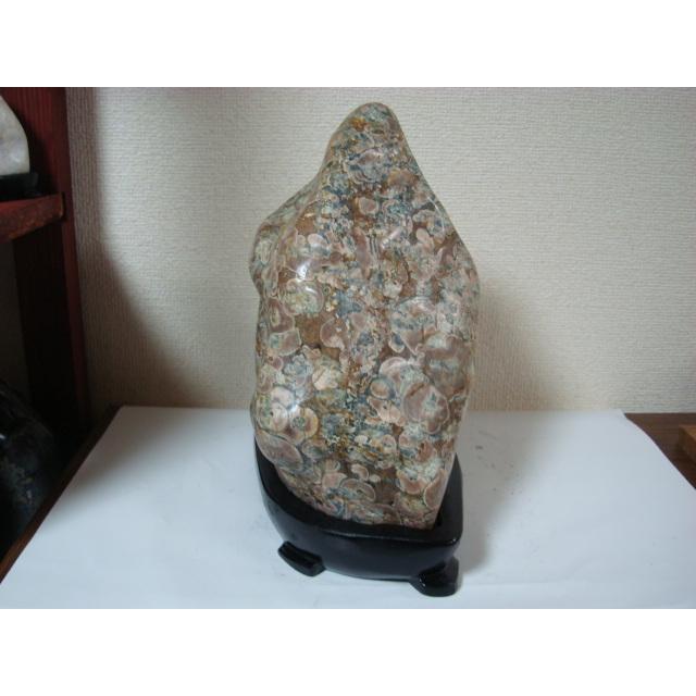 越前紋石20 : 白山紋石庵 - 通販 - Yahoo!ショッピング