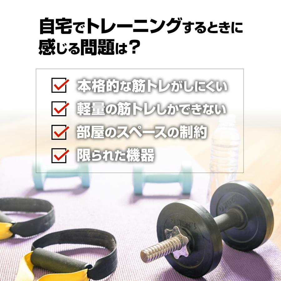 ホームジム マルチ ジム 筋トレ 肉体改造 ボディ ウェイト