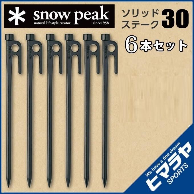 snow peak（スノーピーク） ペグ 6本セット 30cm ソリッドステーク30 R
