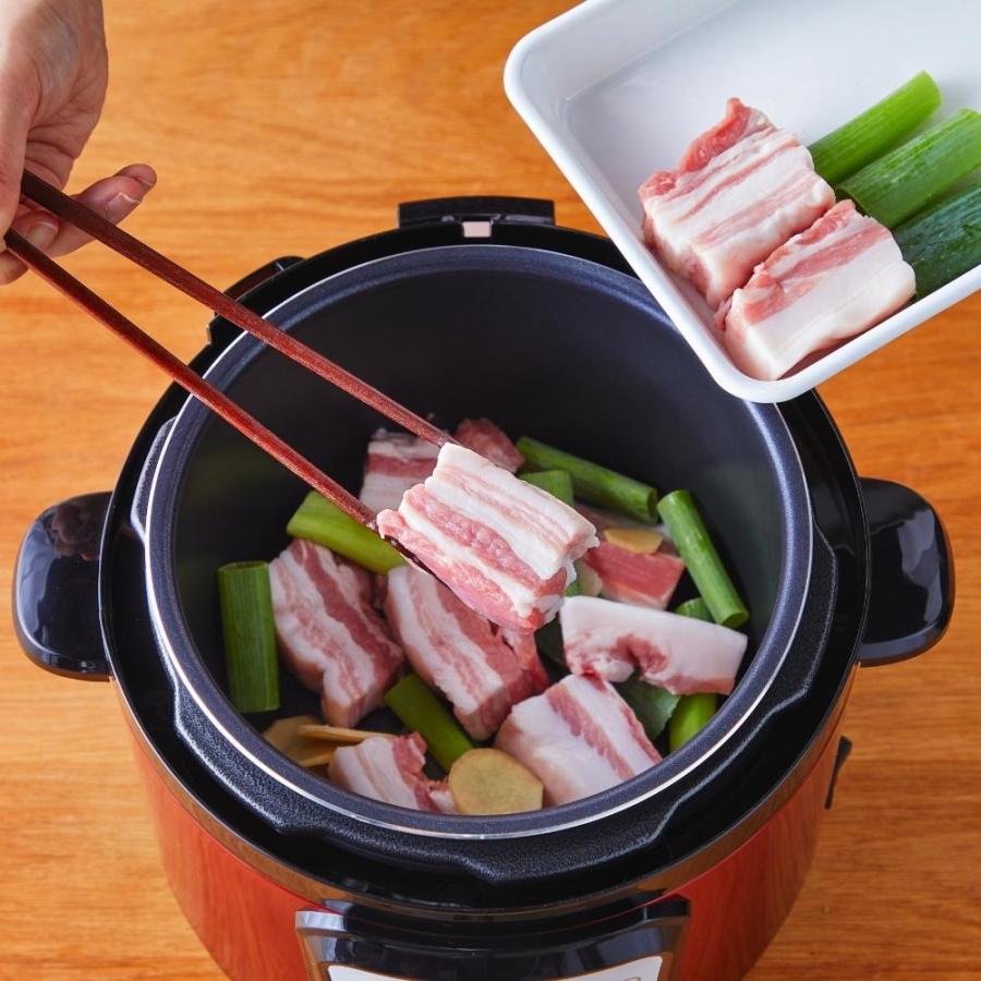 D&S 家庭用マイコン 電気 圧力鍋 4.0L STL-EC50 レシピ 4l : 彩り空間