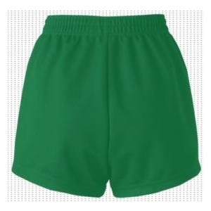 MIZUNO（ミズノ） ミズノスペクトラ受注生産 ゲームパンツ（レディス