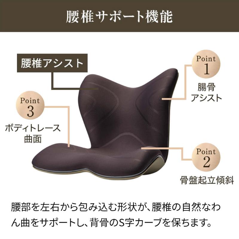 Style（スタイル） 姿勢ケアシート Style PREMIUM プレミアム MTG 骨盤