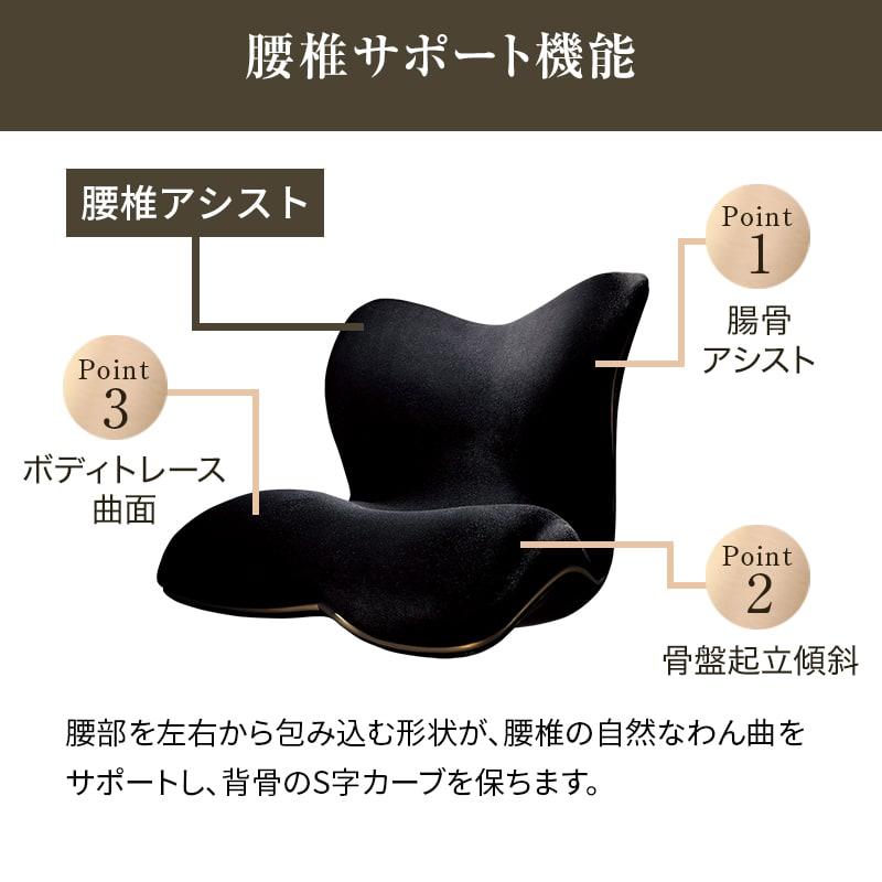 Style（スタイル） 姿勢ケアシート Style PREMIUM DX プレミアム