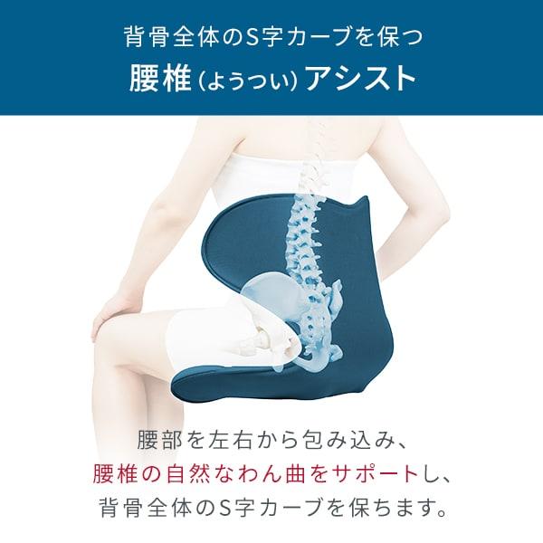 Style（スタイル） 姿勢ケアシート スマート MTG Style Smart 骨盤矯正