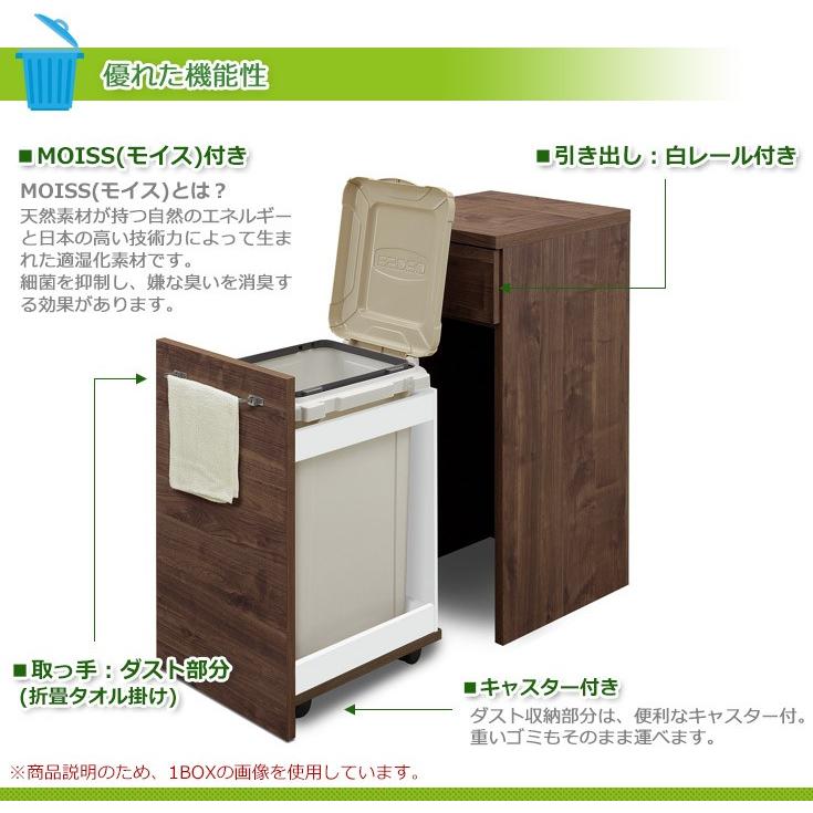 ゴミ箱 おしゃれ ダストボックスカウンター キッチンカウンター 3分別