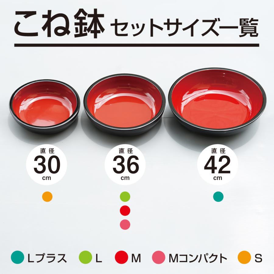 そば打ち五点セット L 36cmこね鉢 5〜6人前 DVD付き 蕎麦打ち 家庭用