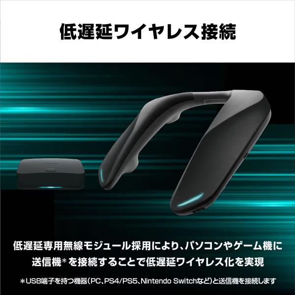 Panasonic（パナソニック） SC-GNW10 ネックスピーカーシステム